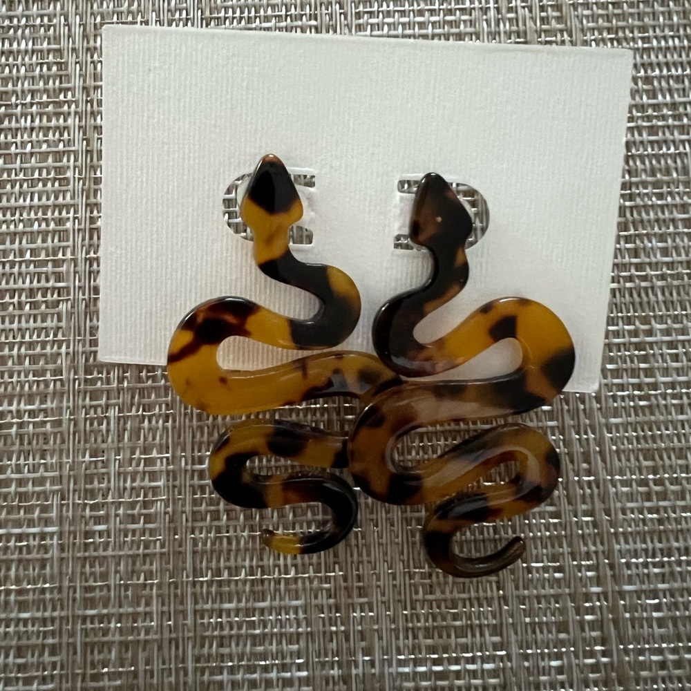 Snake Acrylic Earrings New
